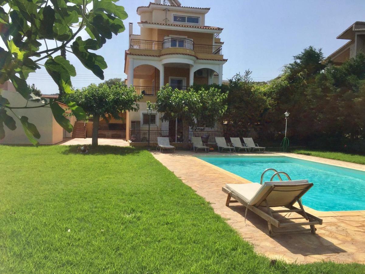 Relaxing Villa With Swimming Pool And Garden Agios Georgios  Ngoại thất bức ảnh