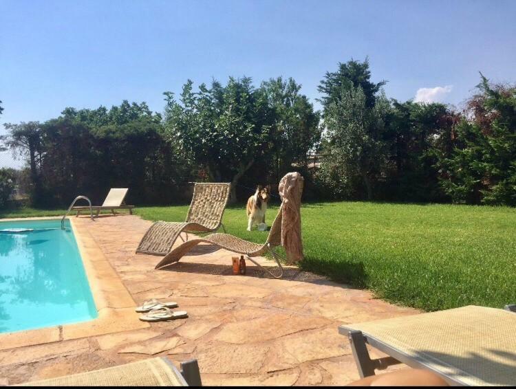 Relaxing Villa With Swimming Pool And Garden Agios Georgios  Ngoại thất bức ảnh