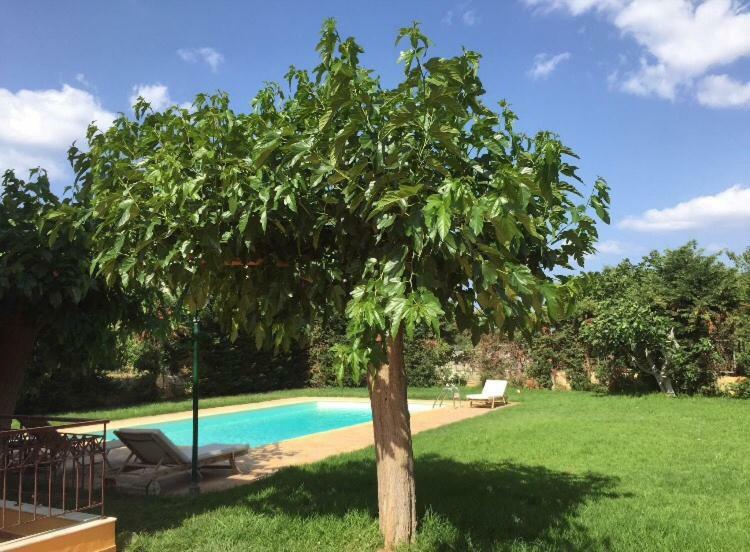 Relaxing Villa With Swimming Pool And Garden Agios Georgios  Ngoại thất bức ảnh